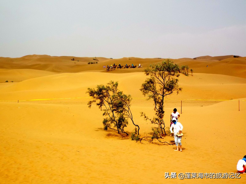 宁夏沙坡头游记,畅游宁夏