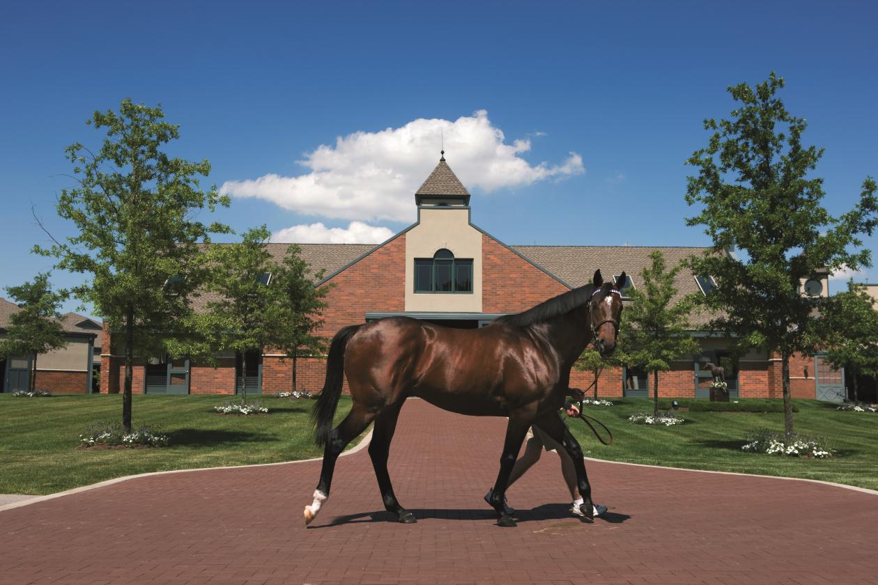 沙海行舟，现实中的霸道总裁，迪拜首富超乎常人想象的生活