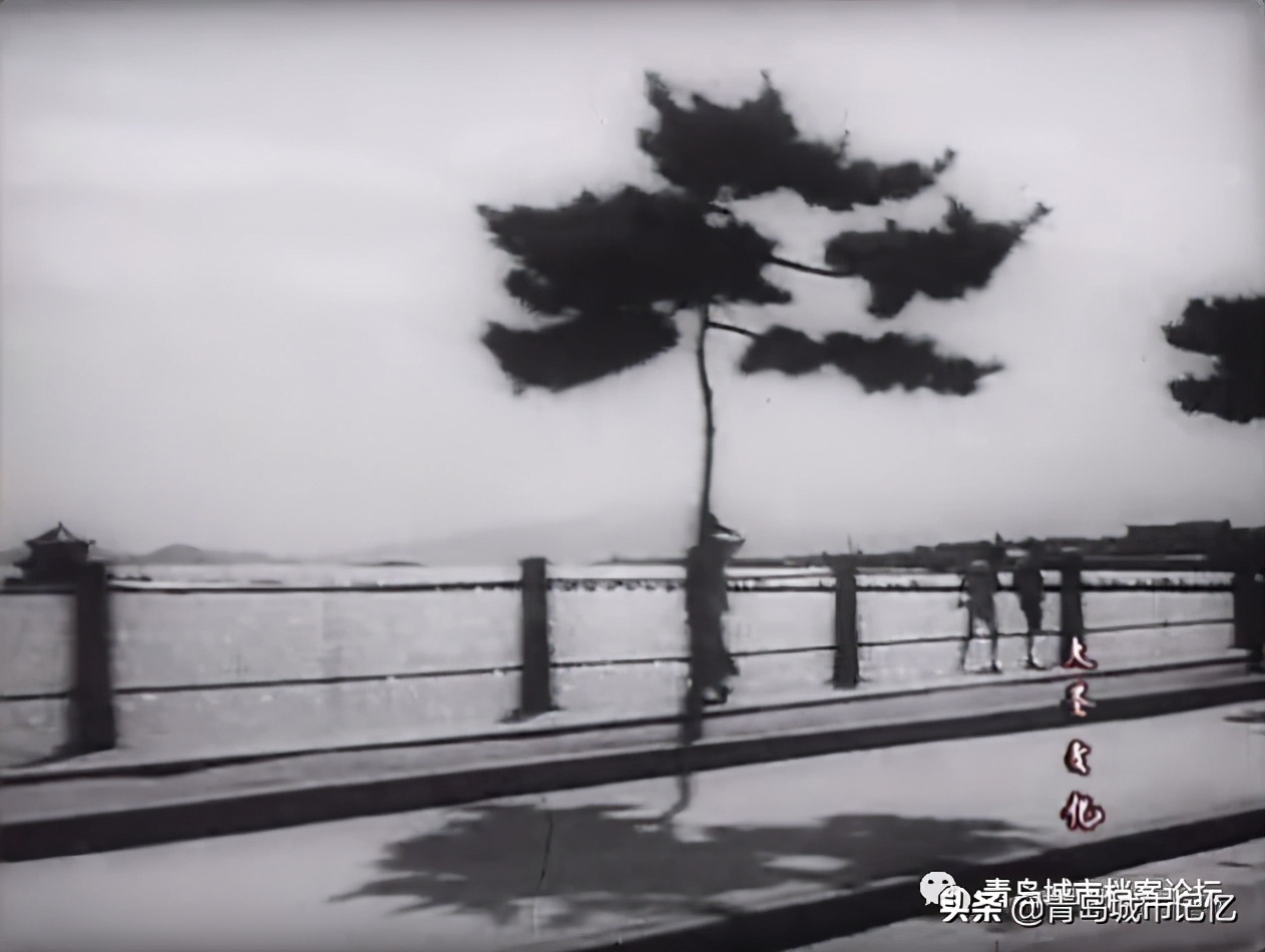 青岛小青岛取景的电影,曾经在青岛拍摄过的少儿题材电影