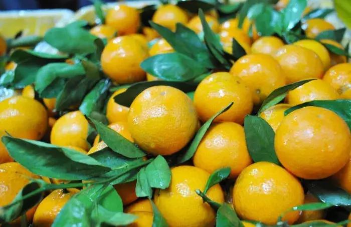 荔枝便宜批发市场,百大周谷堆水果批发市场荔枝价格