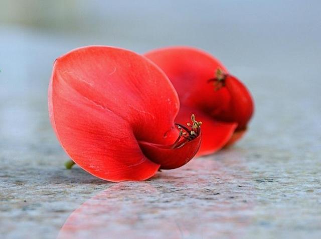 穷人为什么穷富人为什么富视频,穷人为何穷富人为何富看了就明白