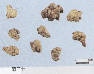 教你怎样辨别真假三七粉,网上买到的假三七粉怎么辨别