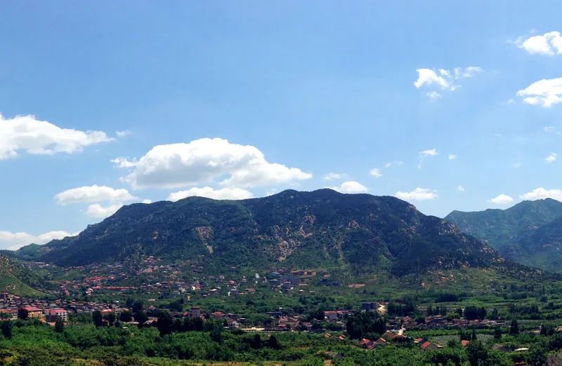 济南适合遛娃的免费去处,济南冬季遛娃免费攻略