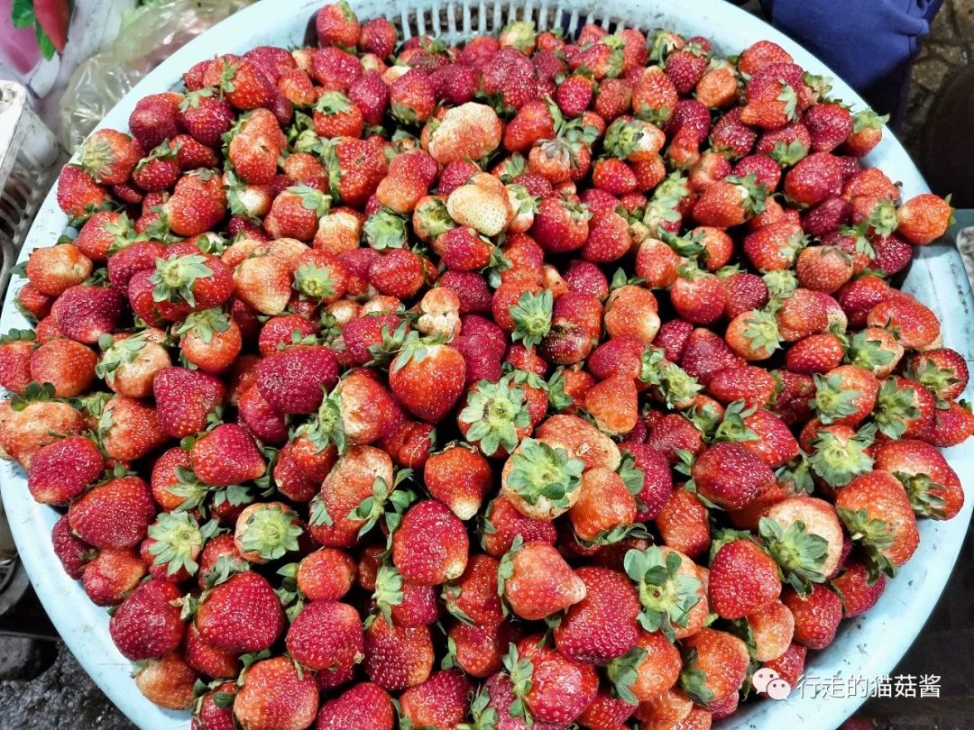 胡志明大叻美奈旅游攻略,越南胡志明美奈大叻地图