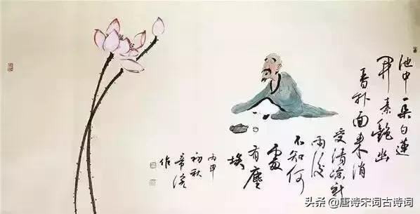 60句唯美且禅意十足的诗句,读过之后能放松心情的书