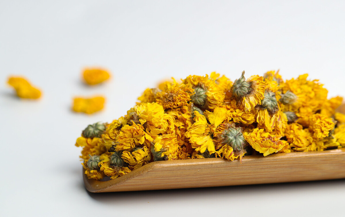 常喝菊花茶，清热降火，但要注意这4点