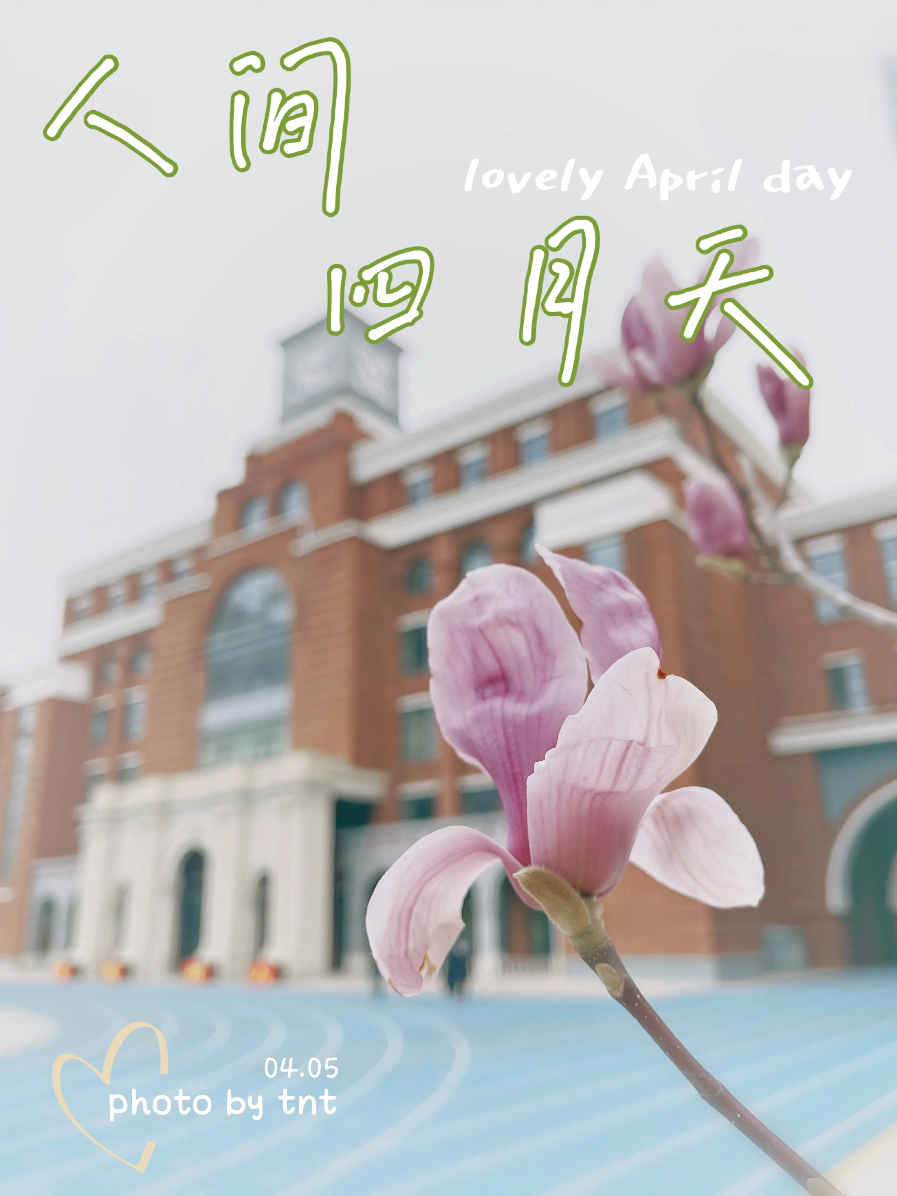 太原市育英中学姜洋,太原市育英中学梁敏