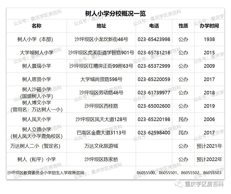 重庆树人小学分校有哪些,树人小学分校怎么样