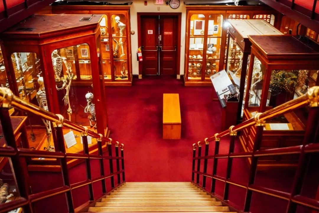 费城勇士和费城76人,费城76人在哪座城市