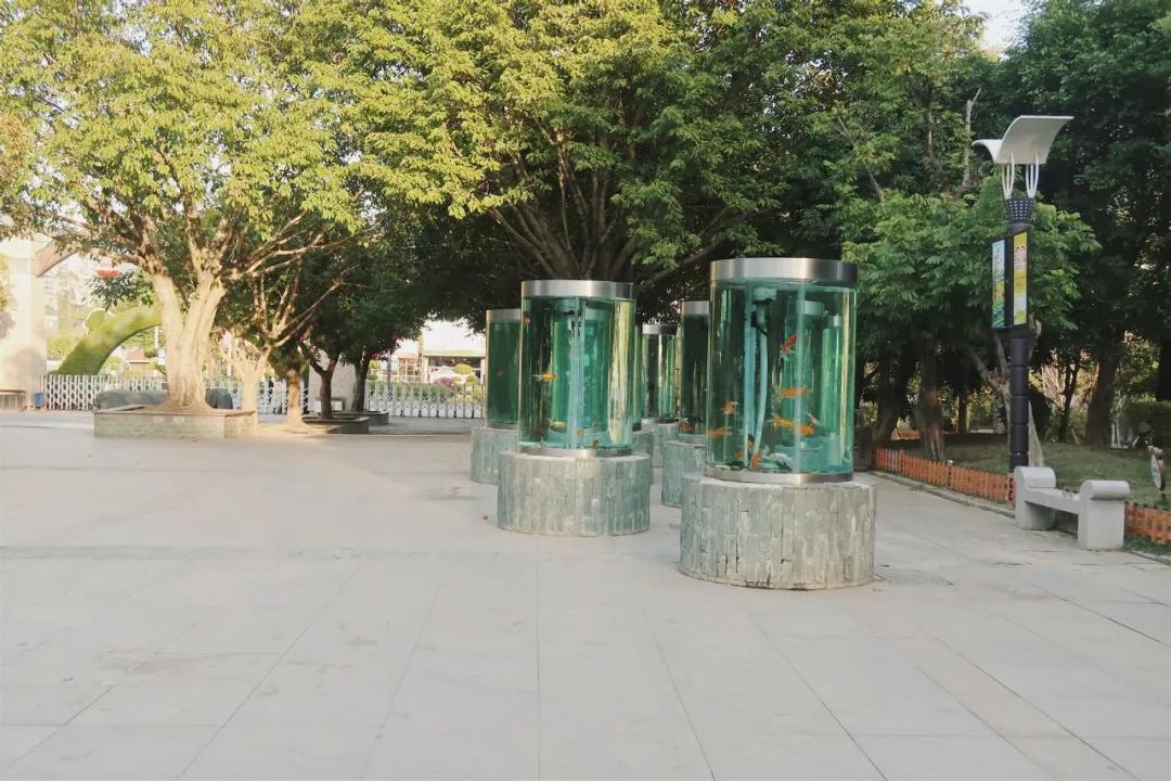 在动物园散步才是正经事|暴走福州