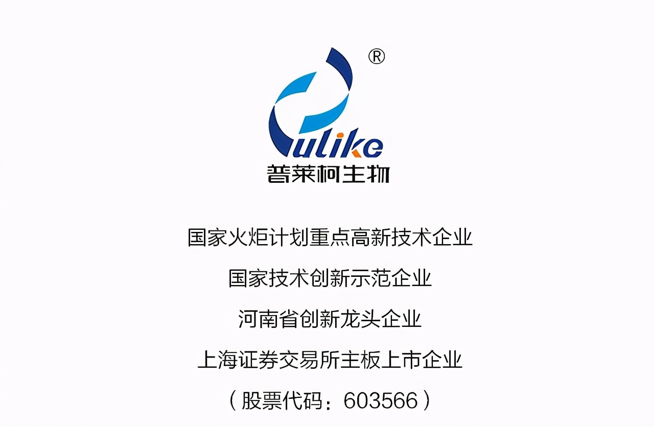 蛋鸡行业的发展方向,蛋鸡行业的未来发展方向