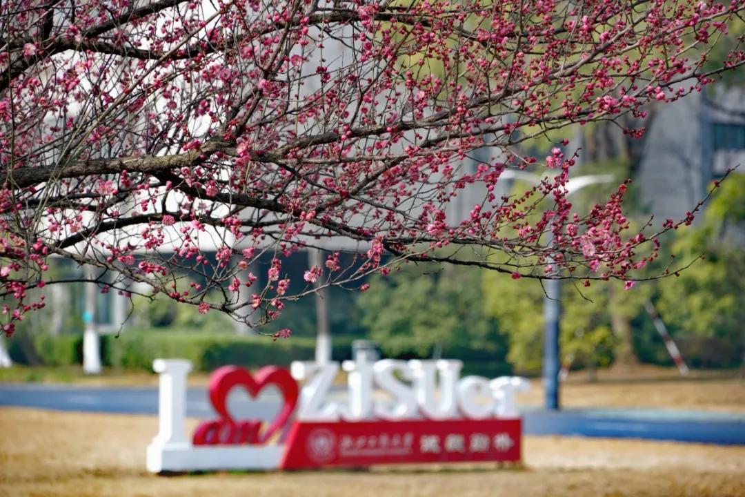 杭州美职学校风景,杭州美丽学校评选