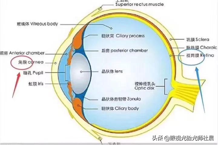 近视手术的几种方式优缺点对比图,近视800到900适合做什么近视手术