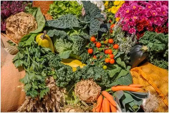 人到中年后容易大肚子怎么回事,36岁开始胖大肚腩怎么办