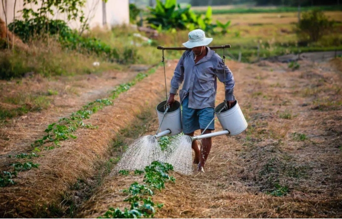 美国爆发真菌感染,美国出现罕见的真菌病了吗