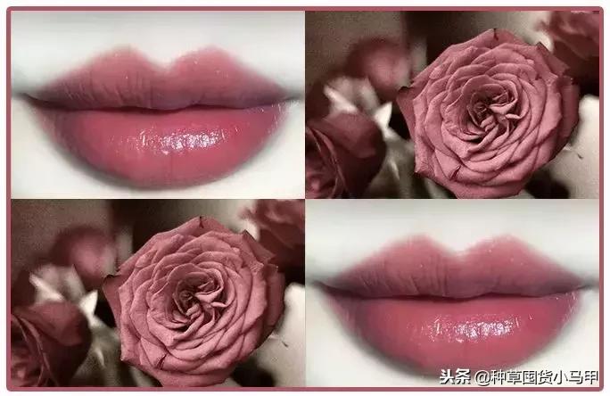 kiko限定值不值得买,kiko圣诞限定过期