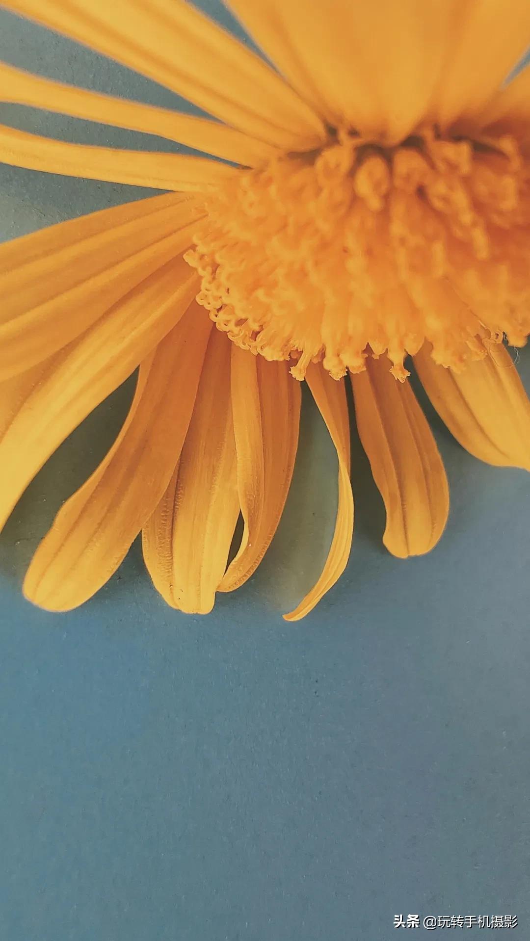 怎么拍花做壁纸,壁纸对花方法