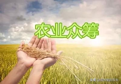 新农人创业的1000种方法,新农人生意思路和方法