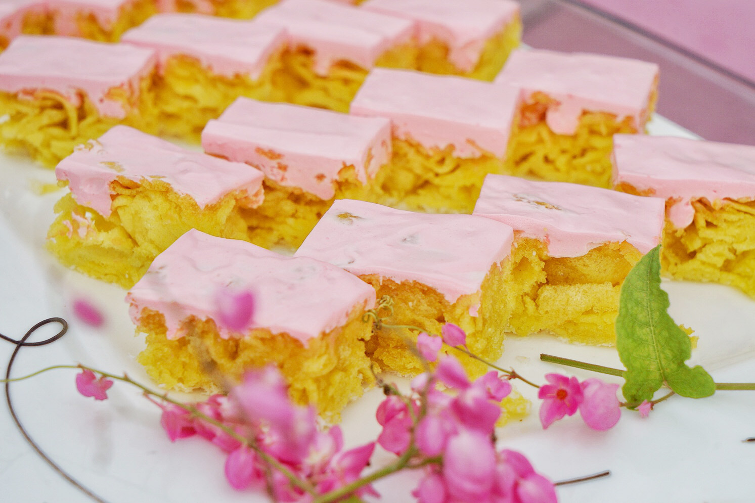 广州粉色浪漫花海,广东秋天粉色花海