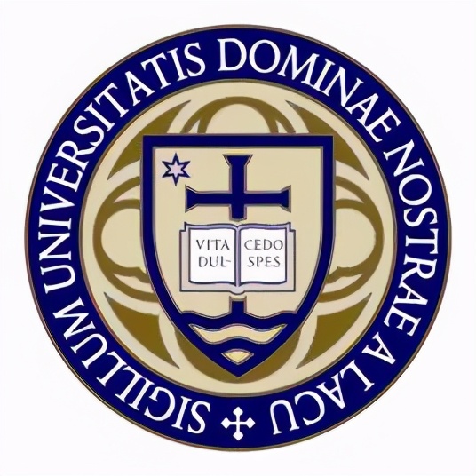 新常春藤大学,新常春藤