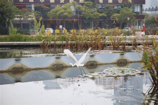 去厦门吹海风,来去厦门观光享受清凉的海风