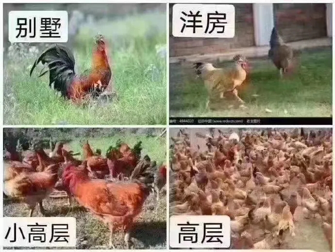 ，买房前关于容积率的这些事儿，咱必须知道