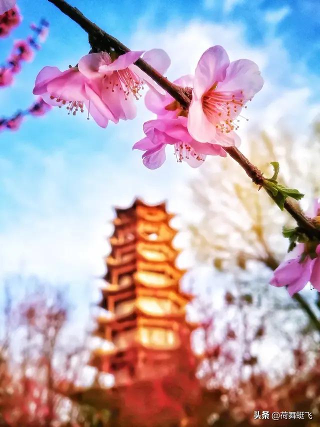 拍摄古建筑摄影技巧,古建筑双人拍照怎么拍出高级感