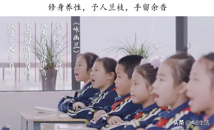 每日一品栏目,每日一品七律