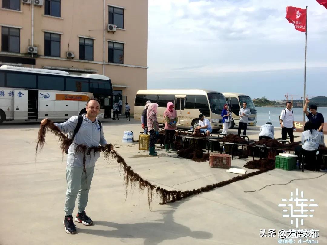 在大连留学生,在外国的中国留学生看国内美食