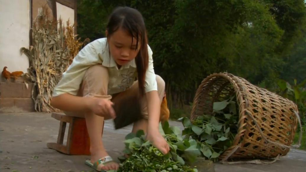 2001年农民工返乡纪录片,专门为农民工拍的纪录片