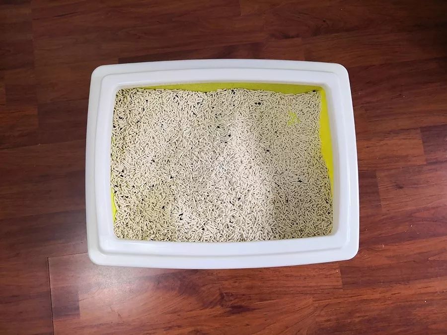 黑科技超强除臭猫砂,豆腐猫砂无粉尘真实测评