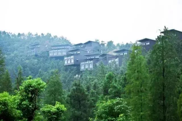 莫干山民宿很厉害吗,莫干山民宿推荐轻奢
