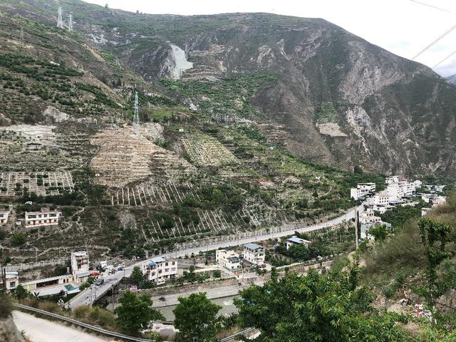 汶川车厘子果农价格,汶川车厘子果农