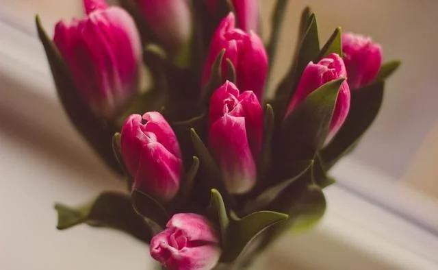 十二星座智商排名射手,12星座射手最聪明