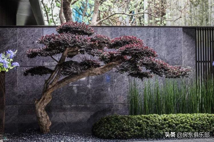 北龙湖一个多亿的豪宅,北龙湖豪宅一楼带院