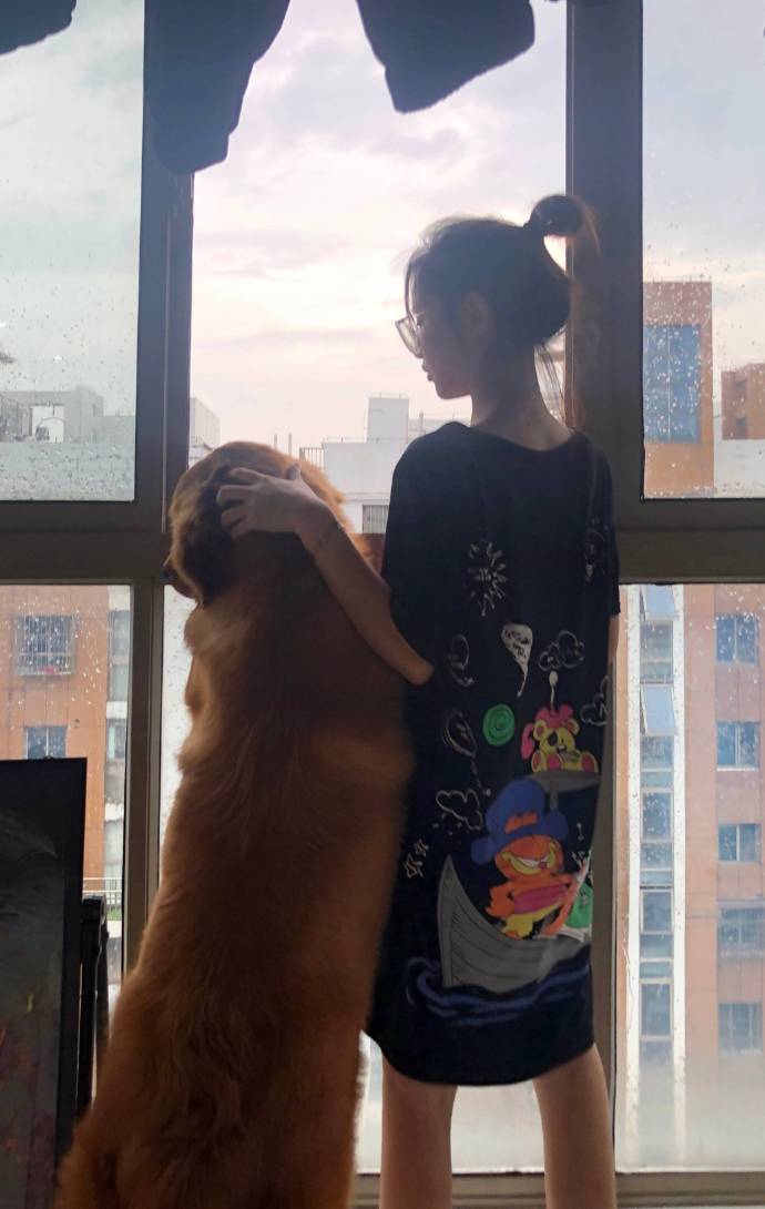 卖家挂羊头卖狗肉消费者如何赔偿,花3000元买只羊