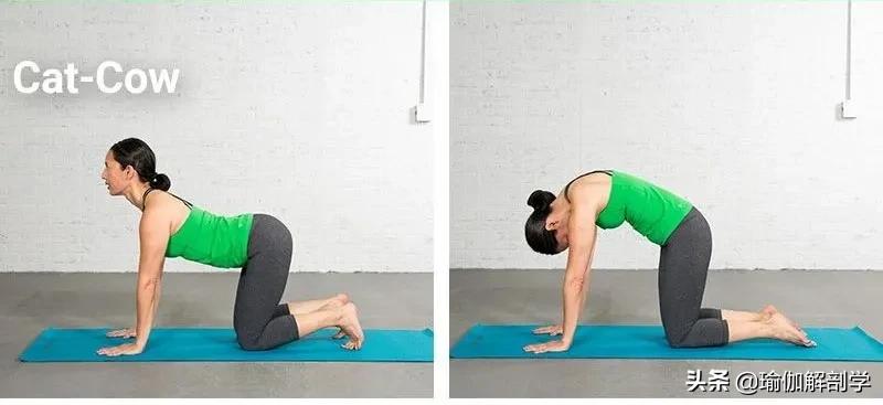 腰痛的原因及预防方法,腰痛的10个征兆图