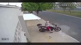 搞笑动图gif狗,搞笑动图gif沙雕