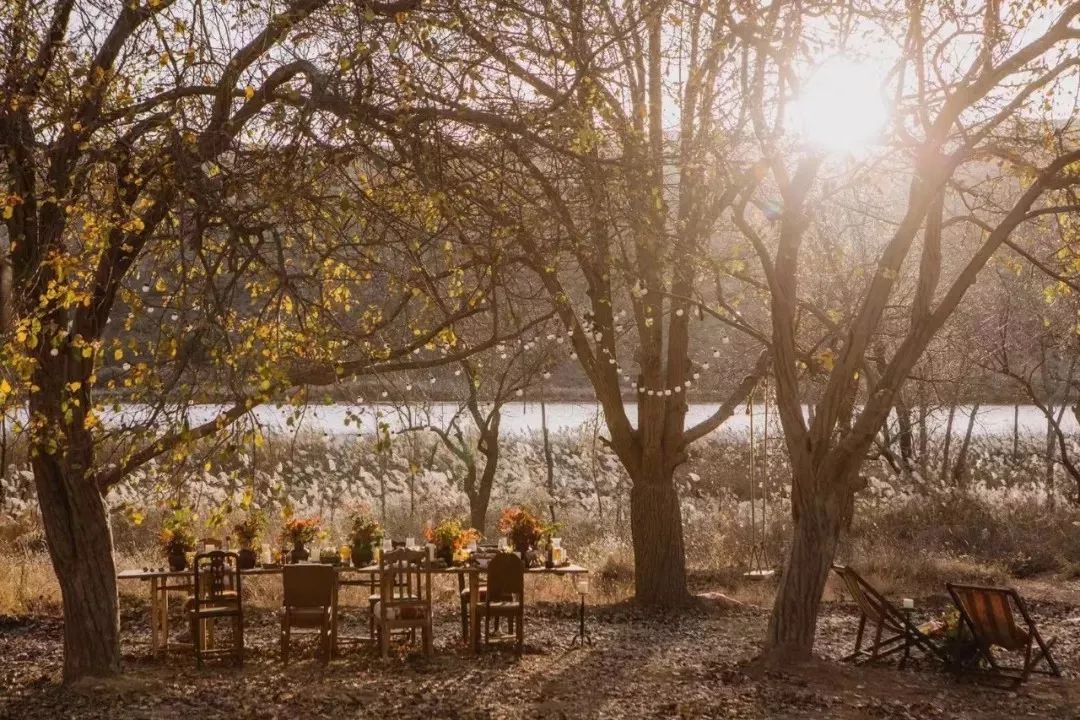 讲好黄河故事传承河洛文化,讲好黄河故事传承黄河文化内容