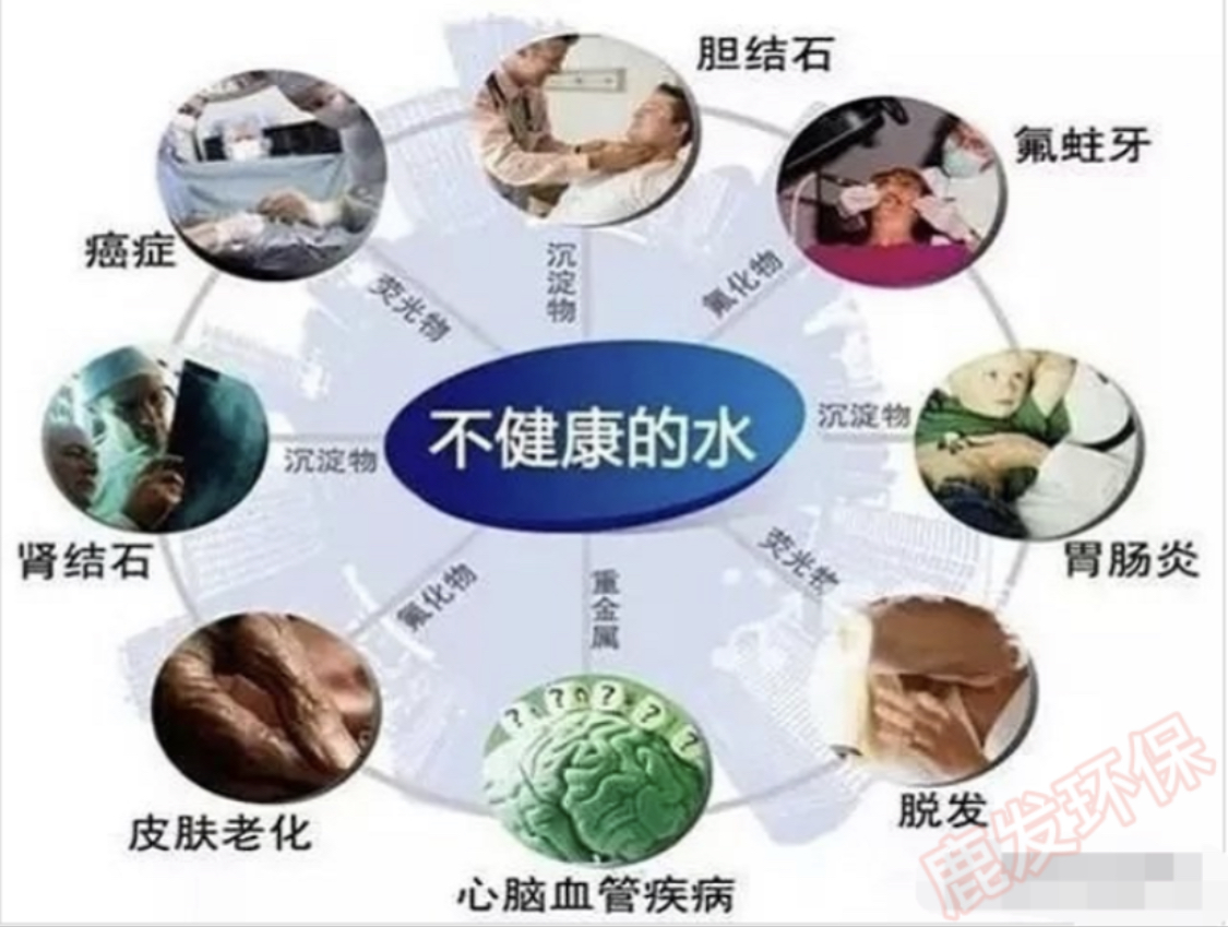 适合乡镇创业的小项目有哪些,50岁回乡创业有哪些比较好的项目