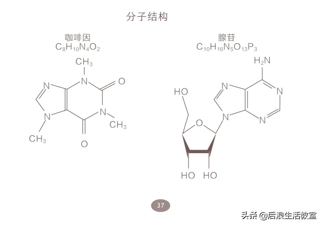 怎么自己制作一杯咖啡,如何制作一杯浓郁的咖啡