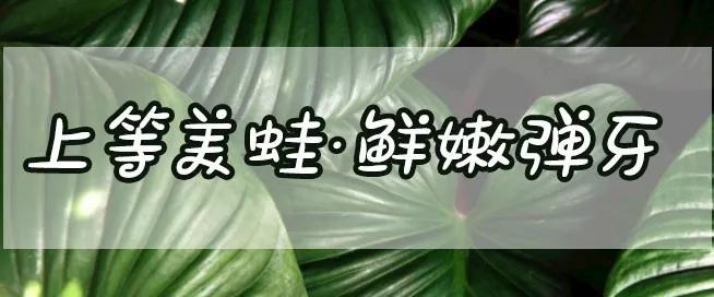 重庆正宗的美蛙鱼头火锅底,确认过眼神这就是你最爱的美食