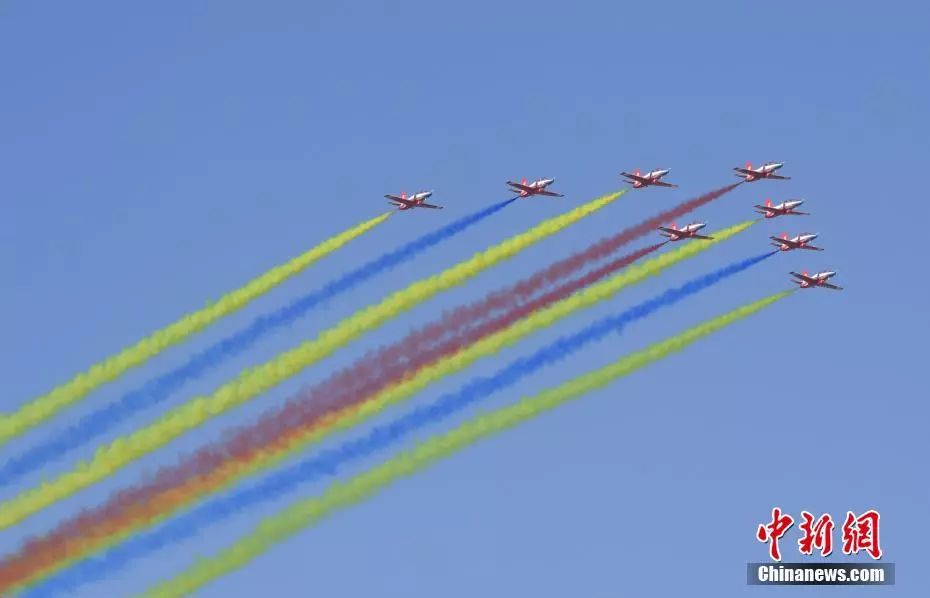 “东风快递”双十一送狗粮空军：不收！生日“我最大”