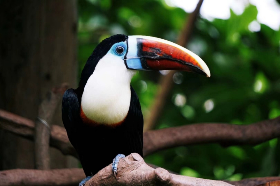 我的摄影装备,索尼微单a5000和a5100哪个好