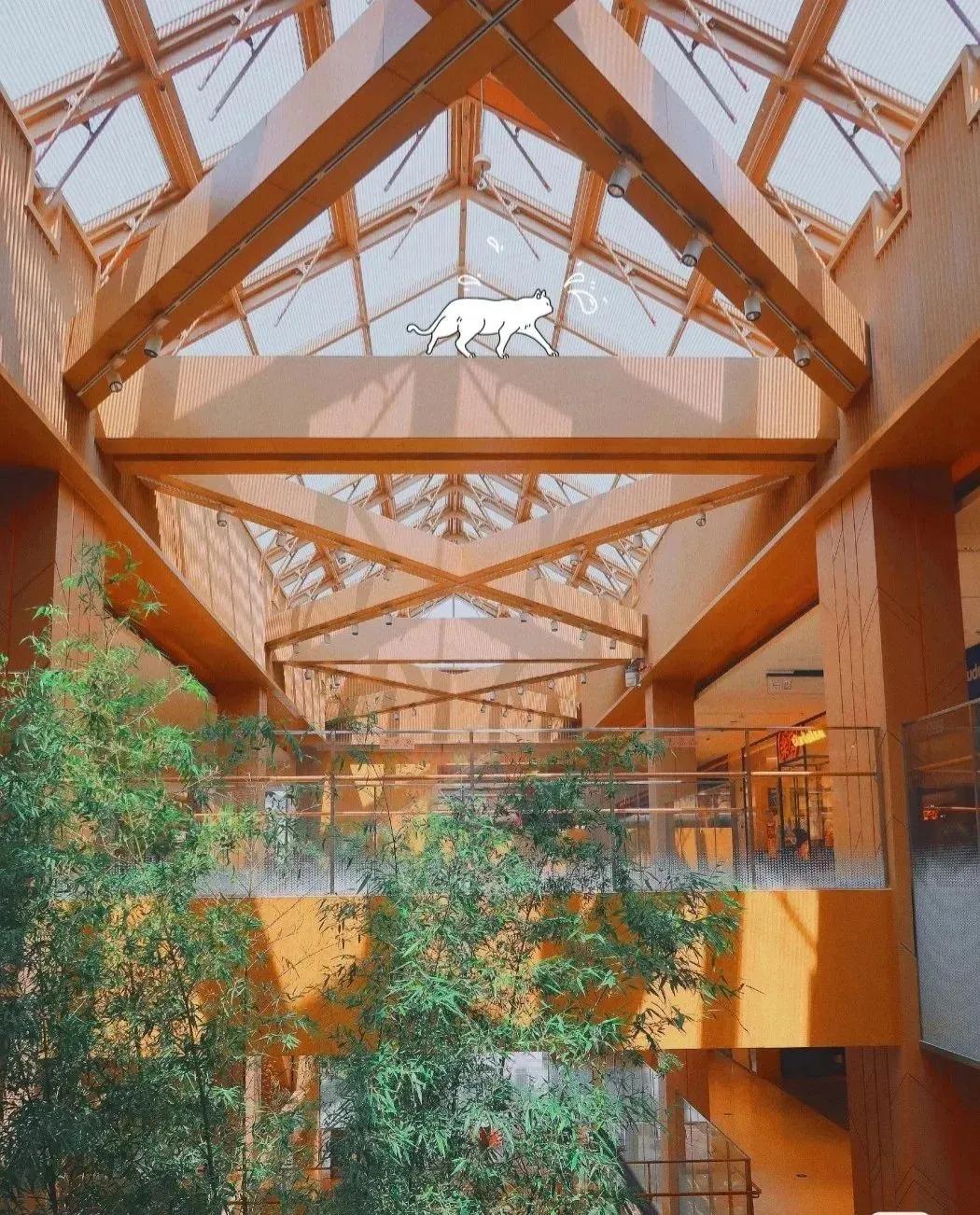 私藏拍照最好的地方,天津适合拍照又安静的地方