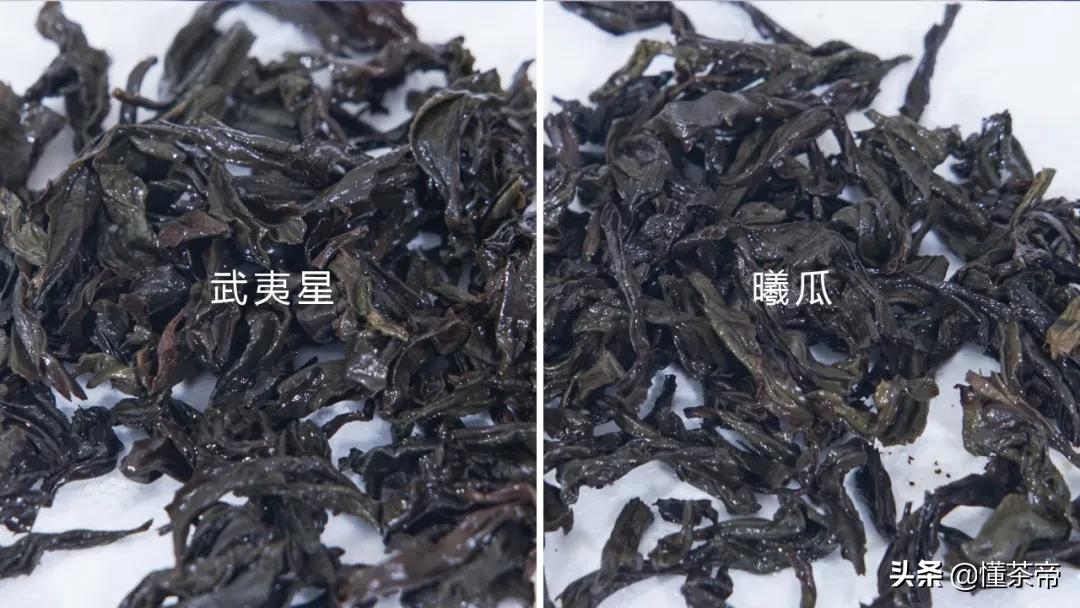 大红袍测评武夷星,大红袍贡茶推荐哪种好喝