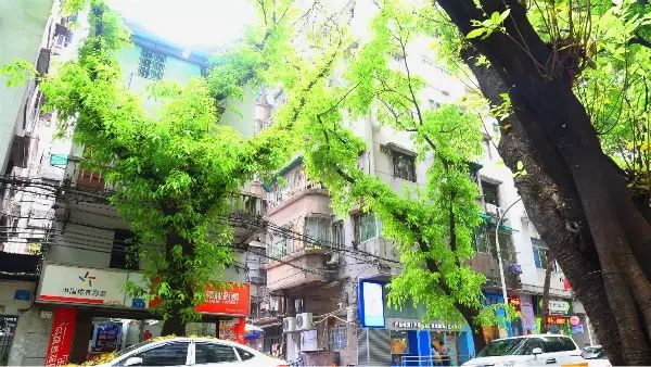 广州市2024年3月份房租行情,广州各区房租价格表