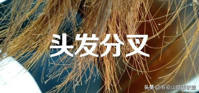 头发枯燥无光泽吃什么药,头发枯燥无光泽家庭小妙招