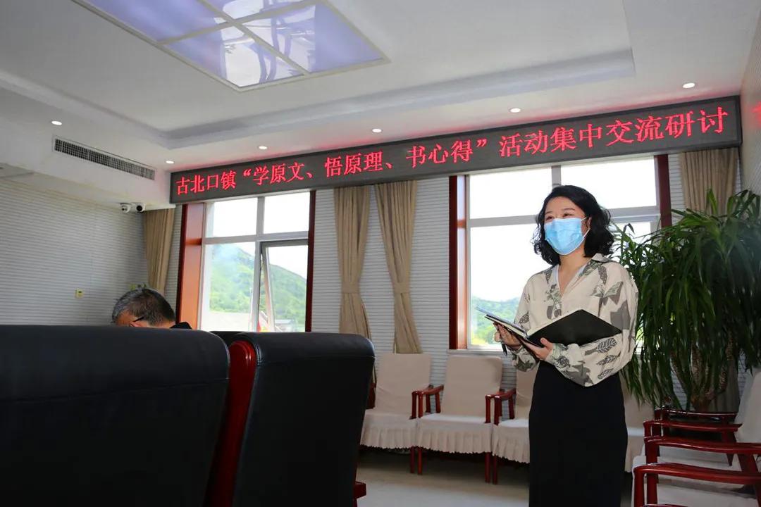 学原文悟原理活动,学原文悟原理心得体会