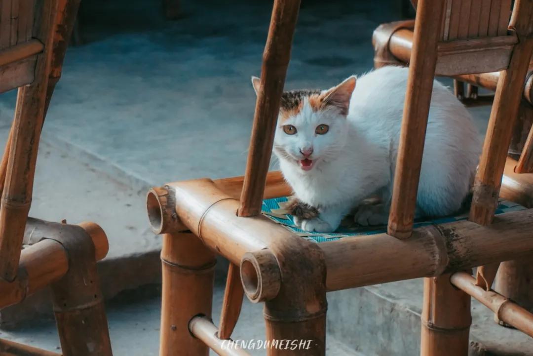 四川省青神县有哪些地方,四川青神有什么好玩的